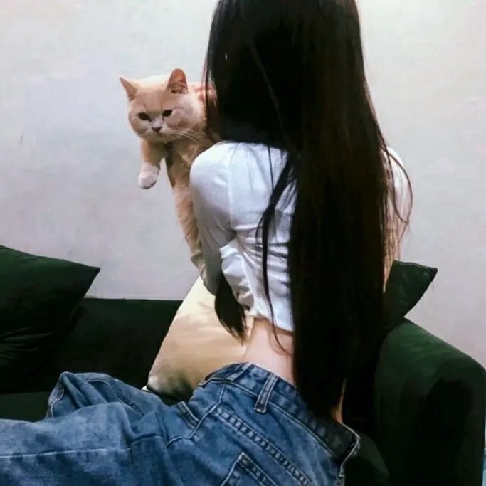 失踪纪年